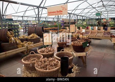 Syon House Garden Center Stock Photo