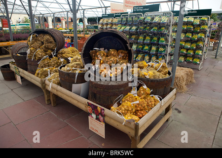 Syon House Garden Center Stock Photo