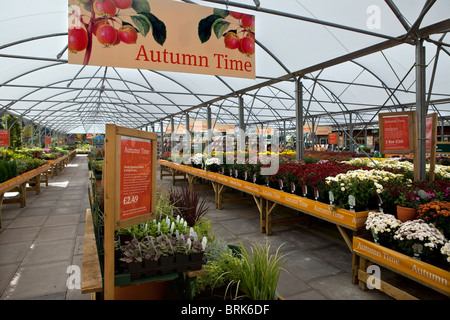 Syon House Garden Center Stock Photo