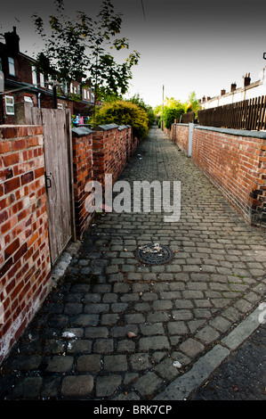 Cobbled back alley Stock Photo: 309936222 - Alamy