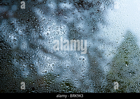 Water droplets / Condensation on a window - with tree shadows in the background. Stock Photo