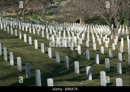 Rows of white grave stones fade into the distance in Arlington National Cemetery, Arlington, VA Stock Photo