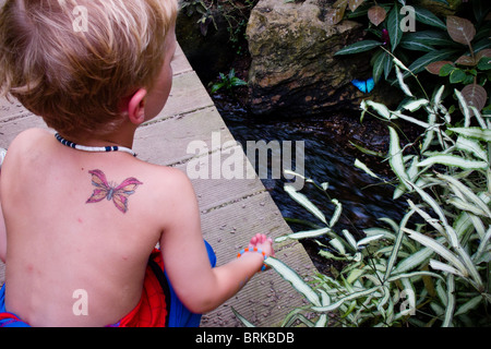 24 Aug 2010 Boy and butterfly at Naturospace tropical butterly park, Honfleur, Normandy, France Stock Photo
