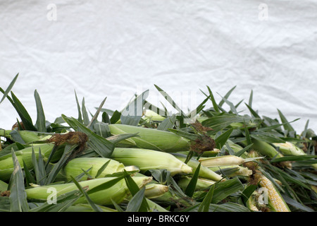 Ears of sweet corn piled high at farmers market in Cleveland Ohio Stock Photo