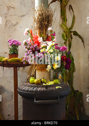 Harvest Festival Display at Thrushelton Church Devon England UK Stock Photo