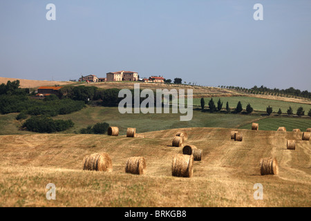 Field with hay bales near Pienza, Tuscany, Italy Stock Photo