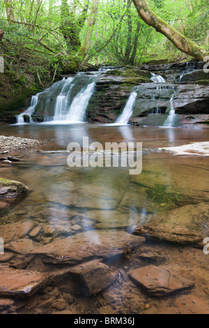 Waterfalls on the River Ennig at Pwll-y-Wrach Nature Reserve near Talgarth, Brecon Beacons National Park, Powys, Wales. Stock Photo