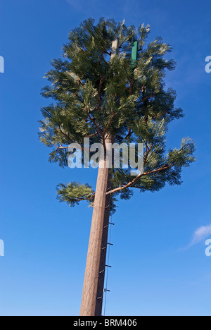 Mobile telephone  mast disguised to look like a tree. Stock Photo