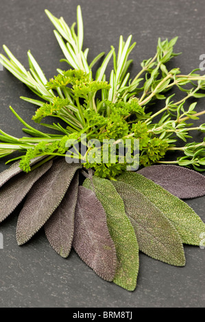 Mixed Herbs: Purple Sage, Parsley, Rosemary and Thyme Stock Photo