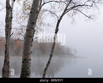 Early morning fall nature scenery of The Arrowhead Lake. Arrowhead provincial park, Ontario, Canada. Stock Photo