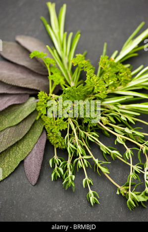Mixed Herbs: Purple Sage, Parsley, Rosemary and Thyme Stock Photo