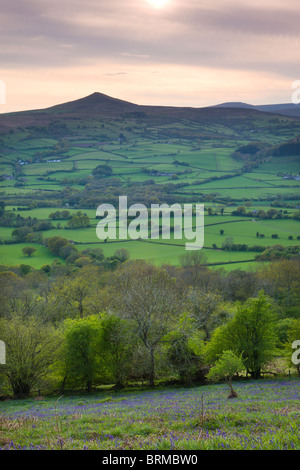 Late evening view towards Sugar Loaf mountain from Ysgyryd Fawr, Brecon Beacons National Park, Monmouthshire, Wales. Stock Photo