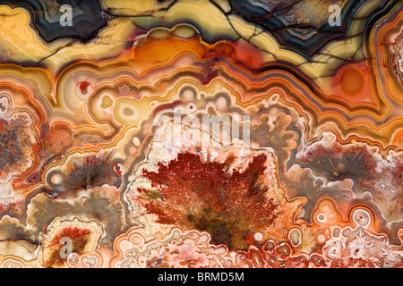 Mexico. Close-up of Crazy Lace Agate stone. Stock Photo