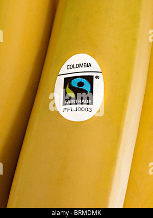 Banana with Fairtrade sticker and country of origin Colombia on sale in a UK supermarket Stock Photo