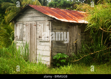 Old wooden house in bush Stock Photo