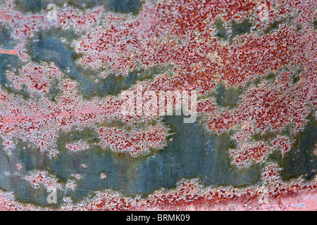 rusty red and dark background texture Stock Photo