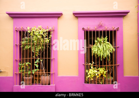 Nidart Gallery, Historic District, Old Mazatlan, Sinaloa State, Mexico Stock Photo