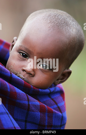 A baby a few moths old being wrapped in a shuka and being carried on his mother's back Stock Photo