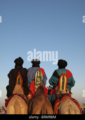 Tuareg man on a camel dressed in traditional robes watching a performance at the annual Festival in the desert Stock Photo