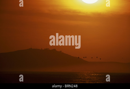 A golden sunset over the Lagoon seen from Lentjiesklip, Langebaan Stock Photo