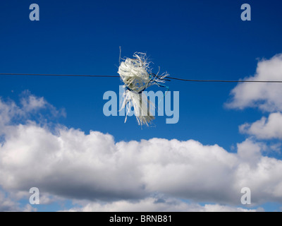 Loose strands of white material entangled on a wire against a backdrop of blue sky and clouds Stock Photo