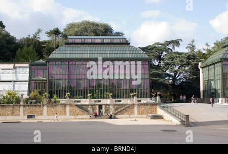 The greenhouse at the Jardin des Plantes, Paris Stock Photo