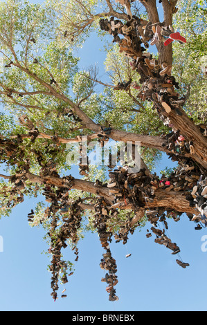 Roadside shoe tree, Churchill County miilepost 70, U.S. Highway 50, Lonliest Road in America, Middlegate, Nevada. Stock Photo