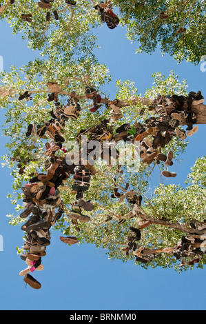 Roadside shoe tree, Churchill County miilepost 70, U.S. Highway 50, Lonliest Road in America, Middlegate, Nevada. Stock Photo