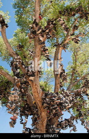 Roadside shoe tree, Churchill County miilepost 70, U.S. Highway 50, Lonliest Road in America, Middlegate, Nevada. Stock Photo