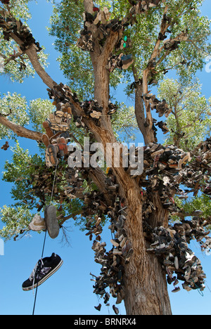 Roadside shoe tree, Churchill County miilepost 70, U.S. Highway 50, Lonliest Road in America, Middlegate, Nevada. Stock Photo