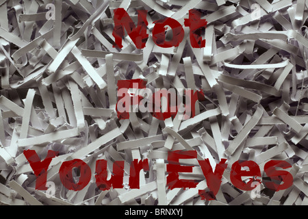 close up detail image of shredded paper with the words not for your eyes printed on it Stock Photo