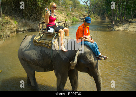 Girl riding an elephant; Chiang Mai, Thailand Stock Photo - Alamy
