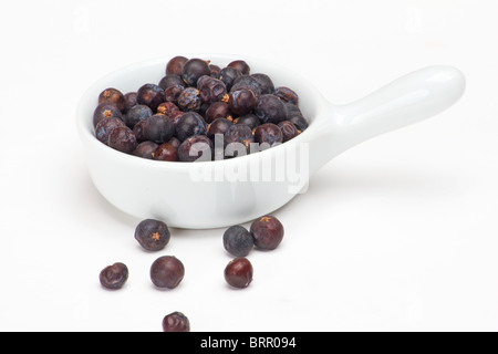 Juniper berries on white background Stock Photo