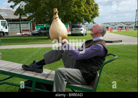 Giant onions, how to grow,planting and culture in greenhouses and polytunnels. Stock Photo