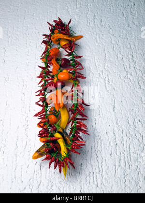 Different kinds of dried peppers , hanging on the wall of the domestic kitchen Stock Photo