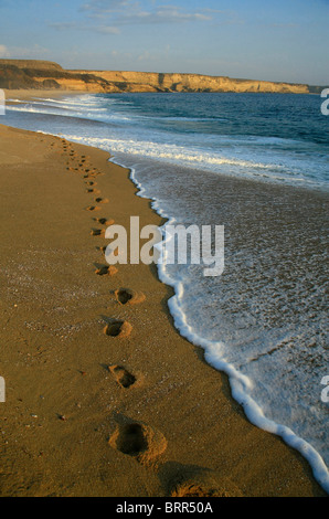 Footprints on the sand on the beach Stock Photo