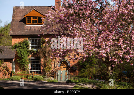 UK, Herefordshire, Putley Common, attractive brick built detached rural cottage in springtime Stock Photo