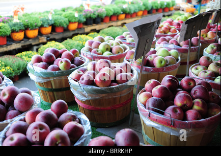 USA New York Naples NY apples at Joseph's Wayside produce market stand - Finger Lakes Region Canandaigua Lake Stock Photo