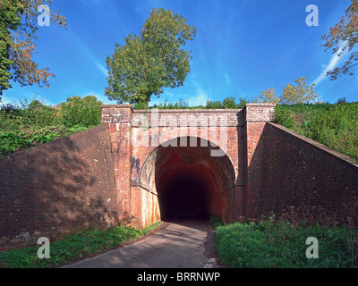 Red Brick Tunnel on a rail embankment with road under with single tree and blue sky
