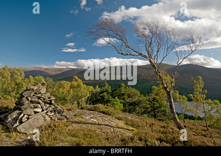 The Cairngorm mountains from Ord Ban hill, Rothiemurchus, Aviemore, Highland Region, Scotland. SCO 6820 Stock Photo