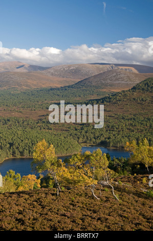 The Cairngorm mountains from Ord Ban hill, Rothiemurchus, Aviemore, Highland Region, Scotland.  SCO 6827 Stock Photo