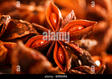 Anise stars Stock Photo