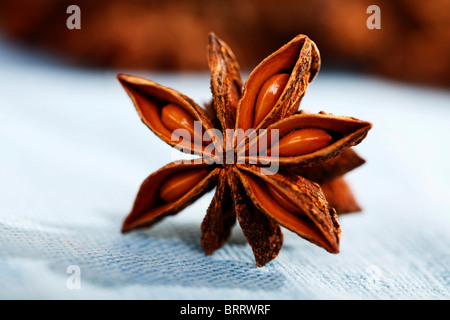 Anise star Stock Photo