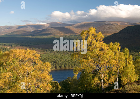 The Cairngorm mountains from Ord Ban hill, Rothiemurchus, Aviemore, Highland Region, Scotland. SCO 6822 Stock Photo