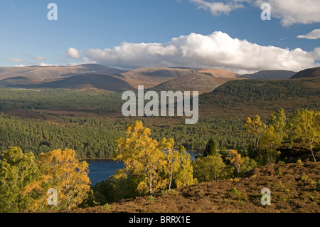 The Cairngorm mountains from Ord Ban hill, Rothiemurchus, Aviemore, Highland Region, Scotland.  SCO 6823 Stock Photo