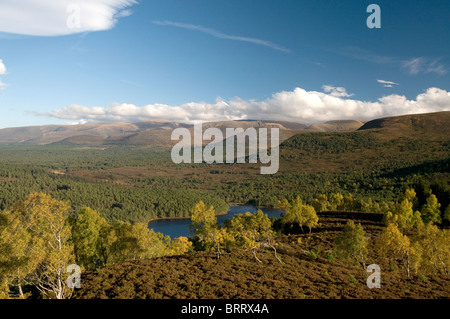 The Cairngorm mountains from Ord Ban hill, Rothiemurchus, Aviemore, Highland Region, Scotland. SCO 6826 Stock Photo