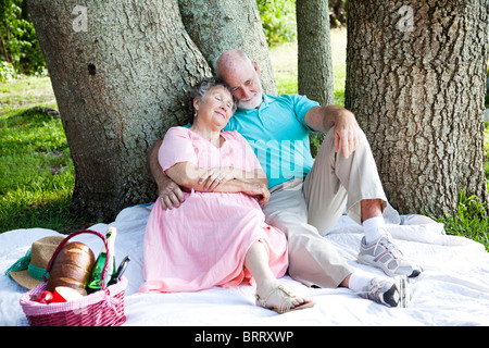 Senior couple relaxing on a picnic in the park. Stock Photo