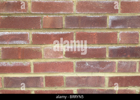 Brick wall background. This is a new brick wall and the "white marks" ar called efflorescence. It's actually the salt coming out Stock Photo