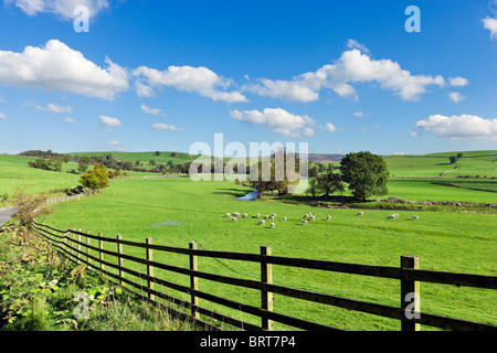 Countryside between Airton and Hetton, Wharfedale, Yorkshire Dales National Park, England, UK Stock Photo