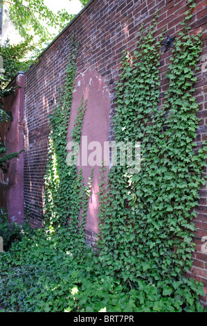 Bladen's Court in Elfreth Alley, - the oldest still inhabited street in Philadelphia, Pennsylvania, USA Stock Photo